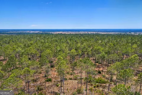 3 Reddish Road, Odum, GA 31555 photo 3