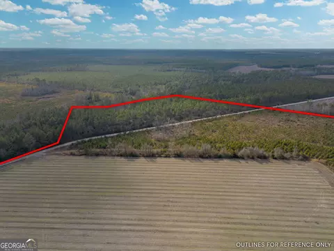 3 Reddish Road, Odum, GA 31555 photo 13