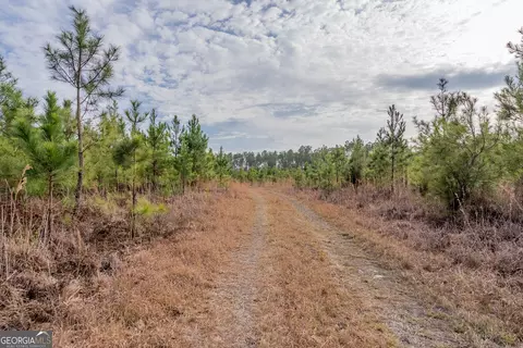 3 Reddish Road, Odum, GA 31555 photo 35