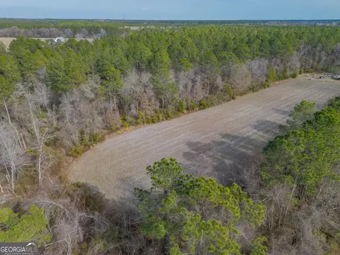3 Reddish Road, Odum, GA 31555 photo 17