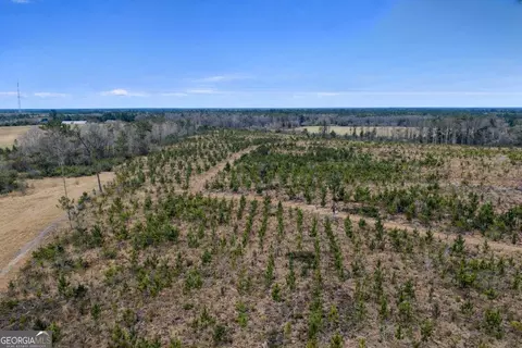 3 Reddish Road, Odum, GA 31555 photo 51