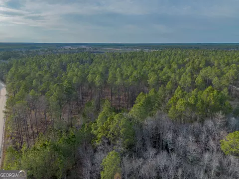 3 Reddish Road, Odum, GA 31555 photo 15