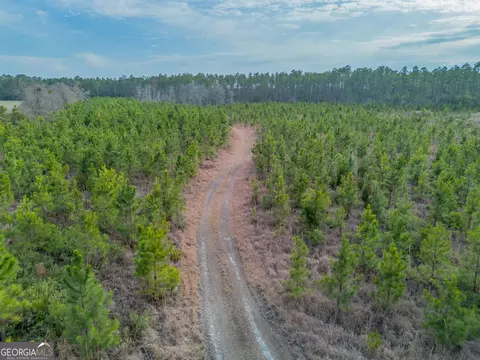 3 Reddish Road, Odum, GA 31555 photo 23