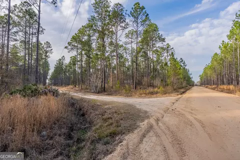 3 Reddish Road, Odum, GA 31555 photo 54
