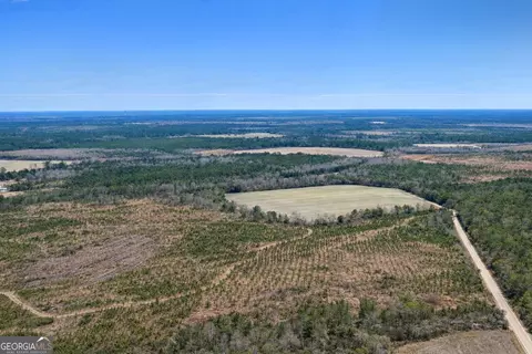 3 Reddish Road, Odum, GA 31555 photo 47