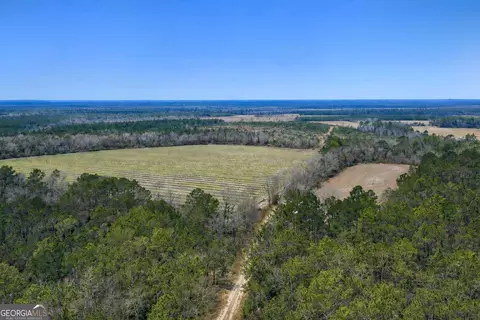 3 Reddish Road, Odum, GA 31555 photo 39