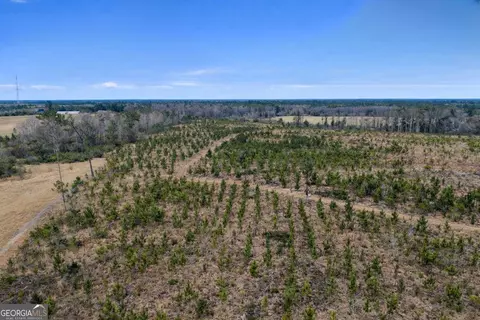 3 Reddish Road, Odum, GA 31555 photo 7
