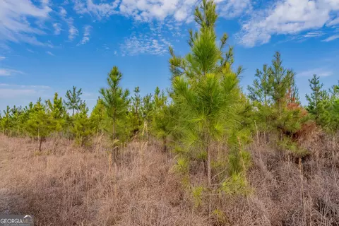 3 Reddish Road, Odum, GA 31555 photo 37