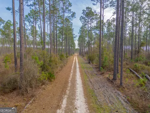 3 Reddish Road, Odum, GA 31555 photo 22