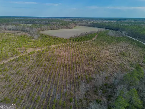 3 Reddish Road, Odum, GA 31555 photo 26