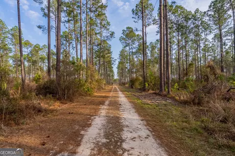 3 Reddish Road, Odum, GA 31555 photo 48