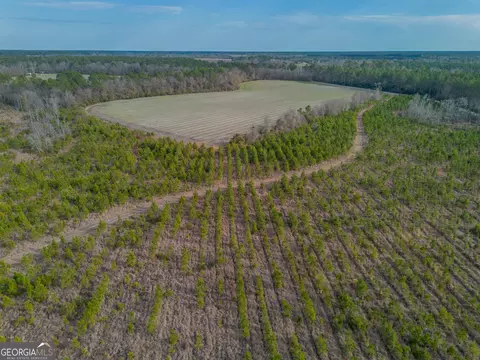 3 Reddish Road, Odum, GA 31555 photo 25