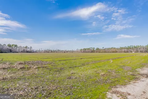 3 Reddish Road, Odum, GA 31555 photo 34
