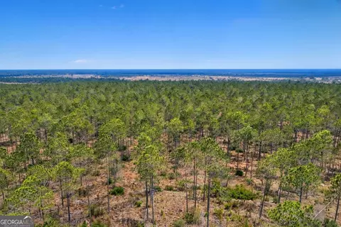 3 Reddish Road, Odum, GA 31555 photo 43