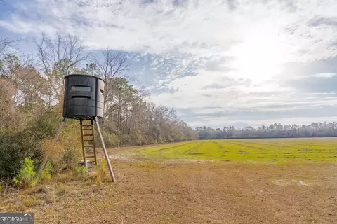 3 Reddish Road, Odum, GA 31555 photo 33