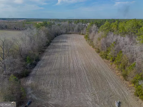 3 Reddish Road, Odum, GA 31555 photo 16