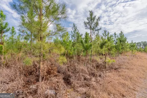 3 Reddish Road, Odum, GA 31555 photo 36