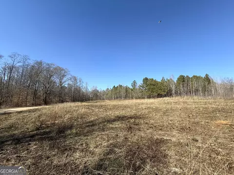 0 Ten Oaks Rd, Buchanan, GA 30113