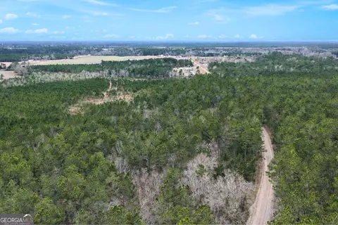 Tract 1 Wheaton Road, Odum, GA 31555