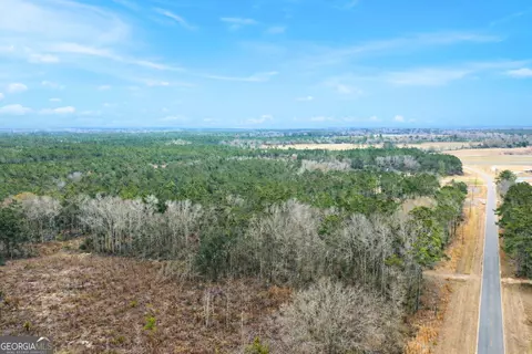 Tract 2 Tank Road, Odum, GA 31555