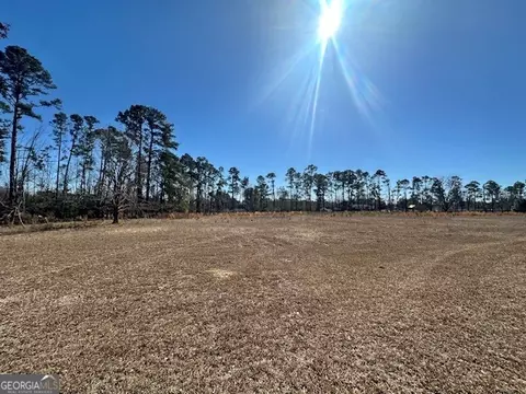 Other - 818 W College St, Ailey, GA 30410 photo 29 of 36
