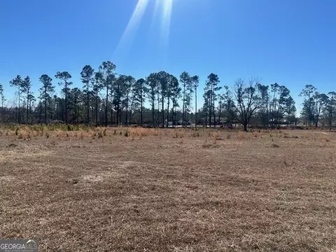Other - 818 W College St, Ailey, GA 30410 photo 23 of 36