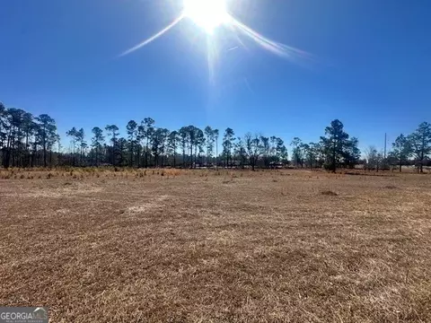 Other - 818 W College St, Ailey, GA 30410 photo 24 of 36