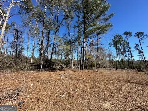 Other - 818 W College St, Ailey, GA 30410 photo 27 of 36