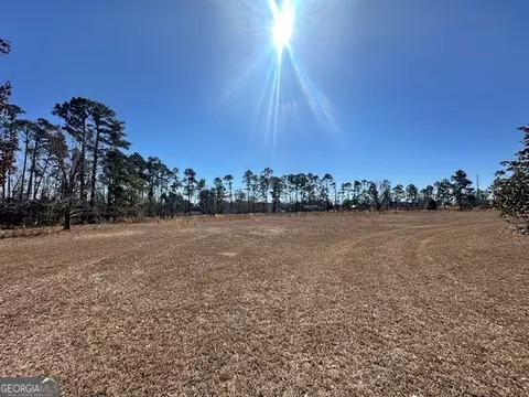 Other - 818 W College St, Ailey, GA 30410 photo 28 of 36