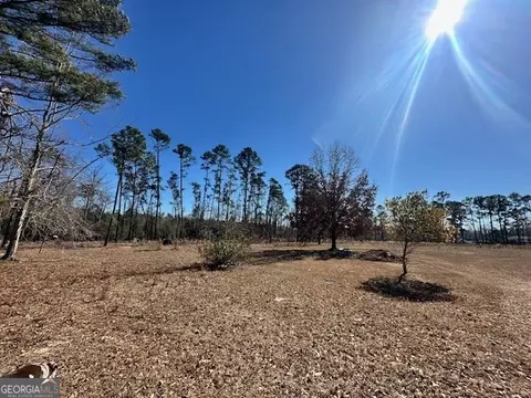Other - 818 W College St, Ailey, GA 30410 photo 26 of 36