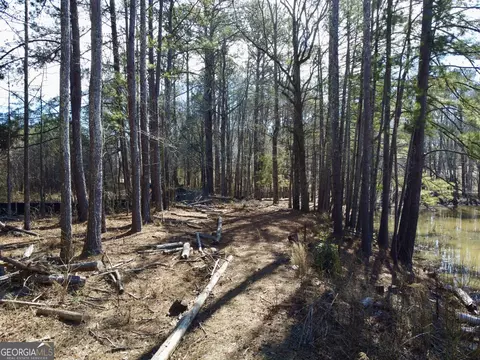 2020 Bailey Creek Rd, Covington, GA 30016 photo 8