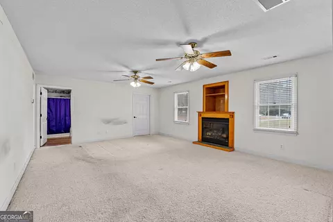Living - 423 Woods Rd, Brooks, GA 30205 photo 6 of 6