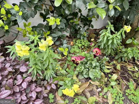 Exterior - 204 E Liberty St, Savannah, GA 31401 photo 20 of 20