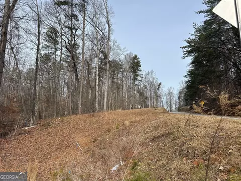 0 Holly Springs Rd #TRACT 3, Toccoa, GA 30577