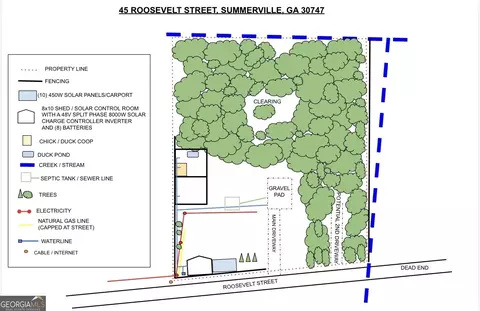 45 Roosevelt St, Summerville, GA 30747