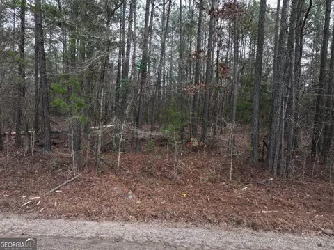 Undisclosed, Hamilton, GA 31811 photo 2