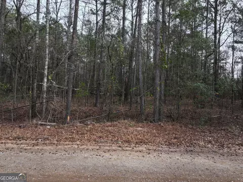 Undisclosed, Hamilton, GA 31811 photo 3