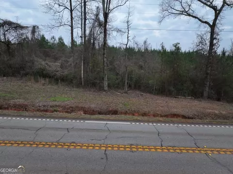 Undisclosed, Hamilton, GA 31811 photo 2