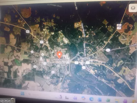 0 Progressive Ave, Hawkinsville, GA 31036