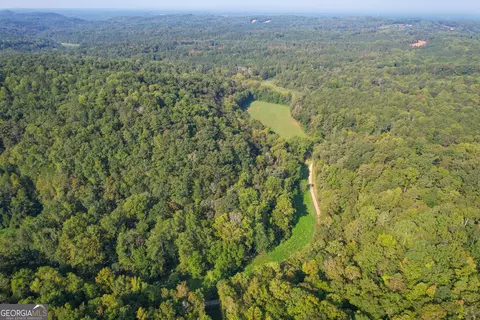 45 Acres On Rambling Rd, Fairmount, GA 30139 photo 10