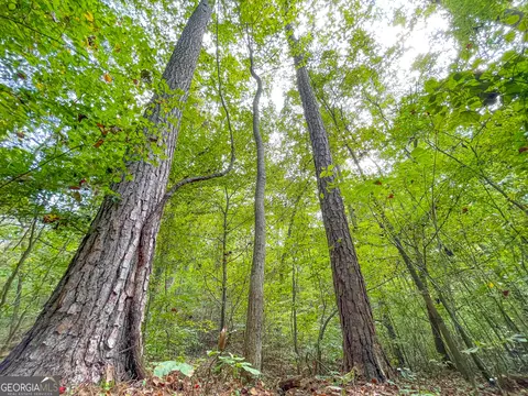 45 Acres On Rambling Rd, Fairmount, GA 30139 photo 9