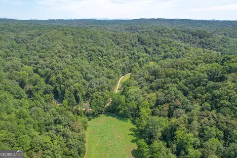 45 Acres On Rambling Rd, Fairmount, GA 30139 photo 12