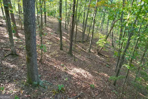 45 Acres On Rambling Rd, Fairmount, GA 30139 photo 18