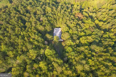 45 Acres On Rambling Rd, Fairmount, GA 30139 photo 16