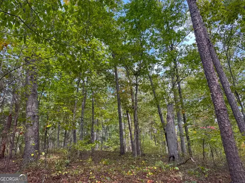 45 Acres On Rambling Rd, Fairmount, GA 30139 photo 13