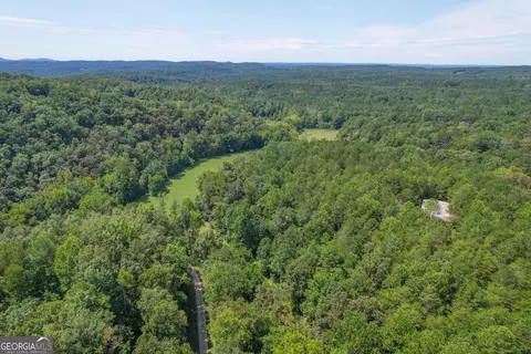 45 Acres On Rambling Rd, Fairmount, GA 30139