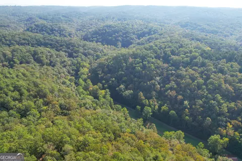 45 Acres On Rambling Rd, Fairmount, GA 30139 photo 19