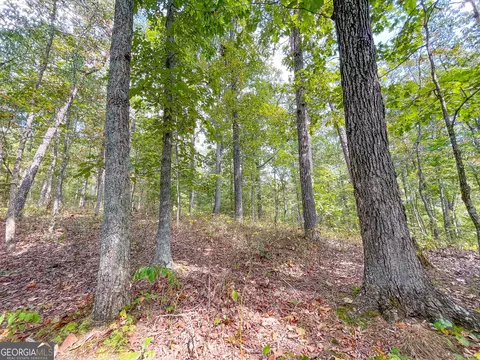 45 Acres On Rambling Rd, Fairmount, GA 30139 photo 7