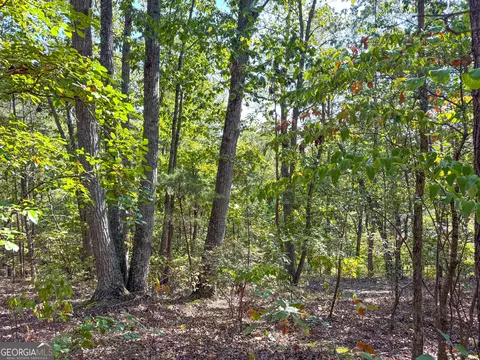 45 Acres On Rambling Rd, Fairmount, GA 30139 photo 11