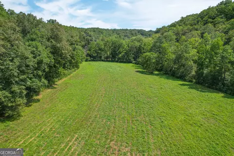 45 Acres On Rambling Rd, Fairmount, GA 30139 photo 8